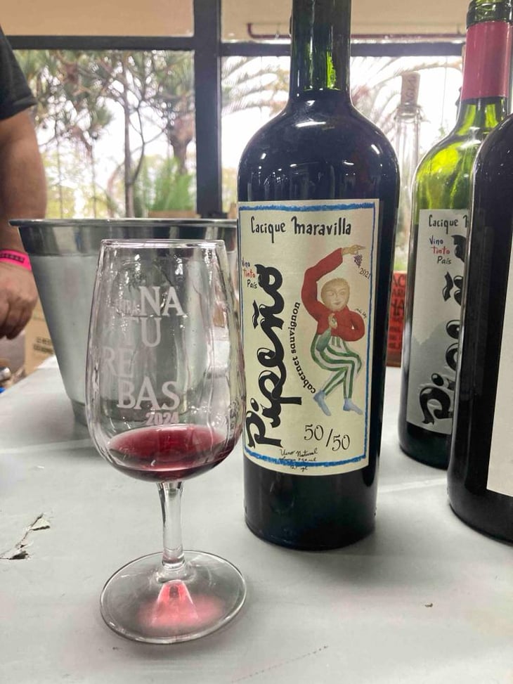 Pipeño - Cacique Maravilla - Manuel Moraga 
