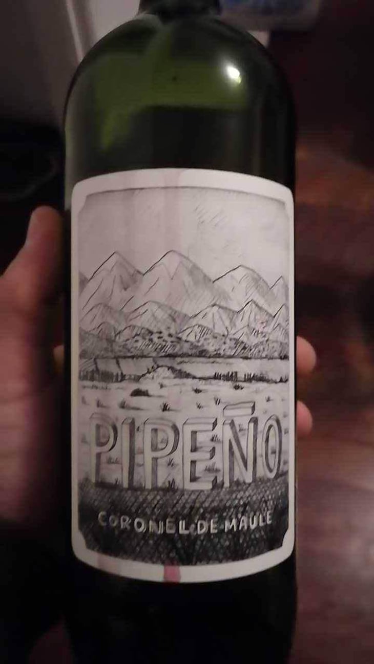 Pipeño Pichihuedque - Agricola Luyt - Louis-Antoine Luyt 