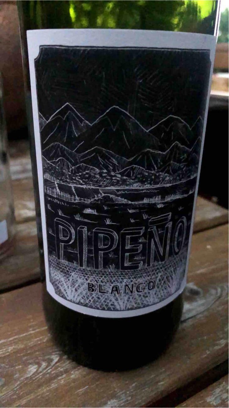 Pipeno - Portezuelo - Familia Patricio Martínez 