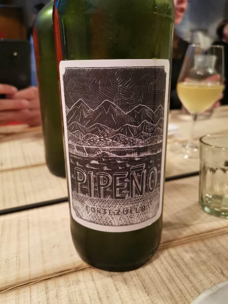Pipeno - Portezuelo - Familia Patricio Martínez 