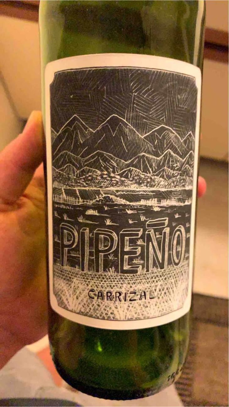 Pipeno - Portezuelo - Familia Patricio Martínez 