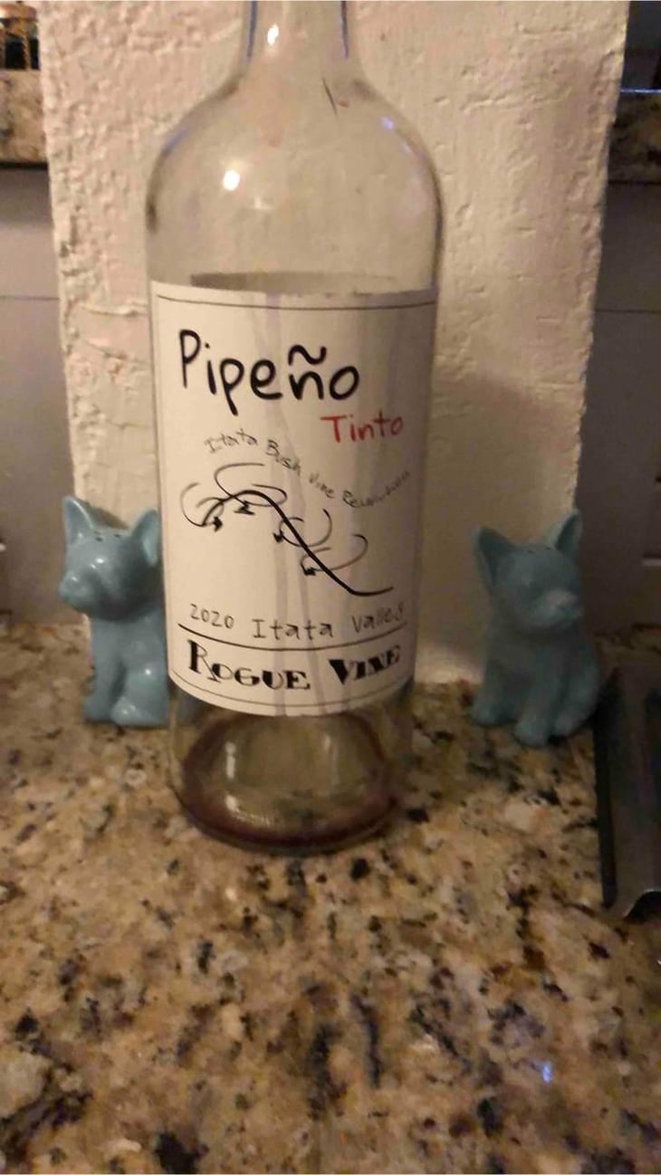 Pipeño Tinto - A Los Viñateros Bravos / Onda Brava - Leonardo Erazo 