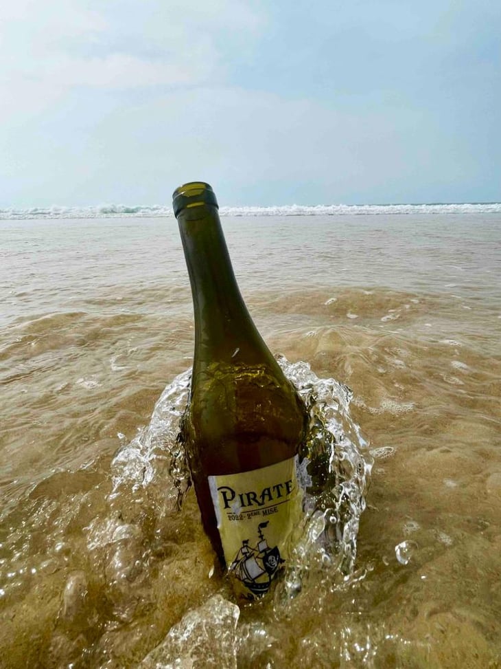 Pirate - Domaine des Pies Blanches (72) - Pierre Pradelle -2021