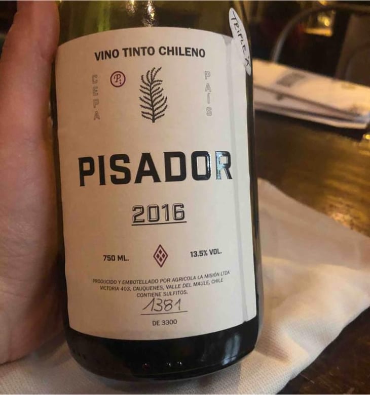 Pisador - Agricola La Mision - Elena Pantaleoni & Nicola Massa 