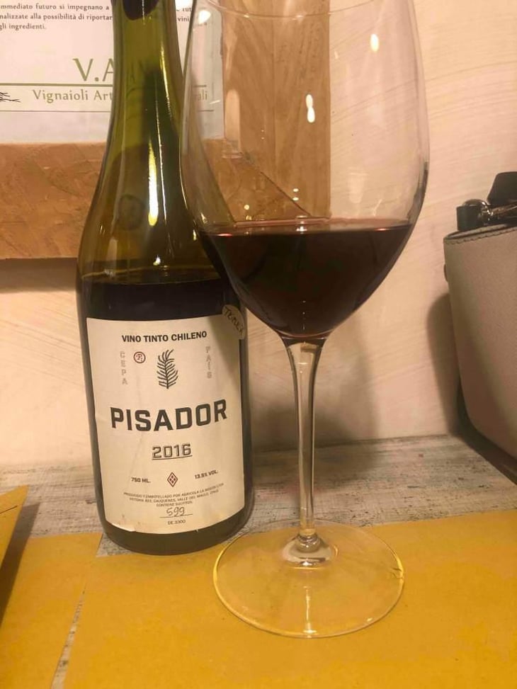 Pisador - Agricola La Mision - Elena Pantaleoni & Nicola Massa 