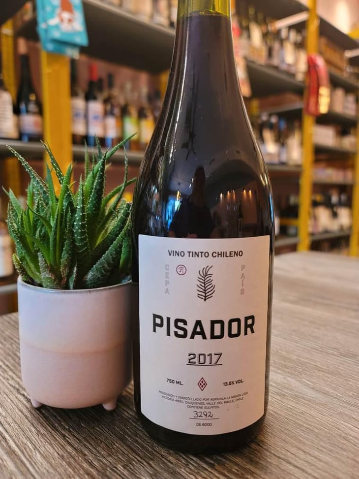 Pisador - Agricola La Mision - Elena Pantaleoni & Nicola Massa 