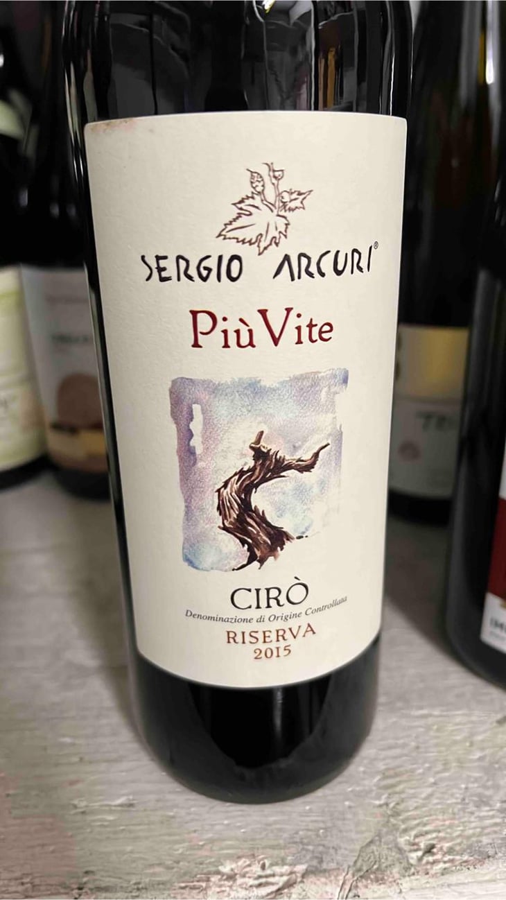 Più Vite - Sergio Arcuri - Sergio Arcuri 