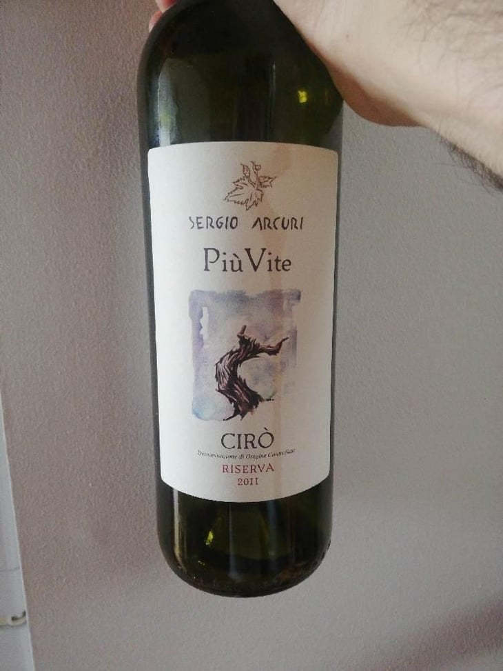 Più Vite - Sergio Arcuri - Sergio Arcuri 