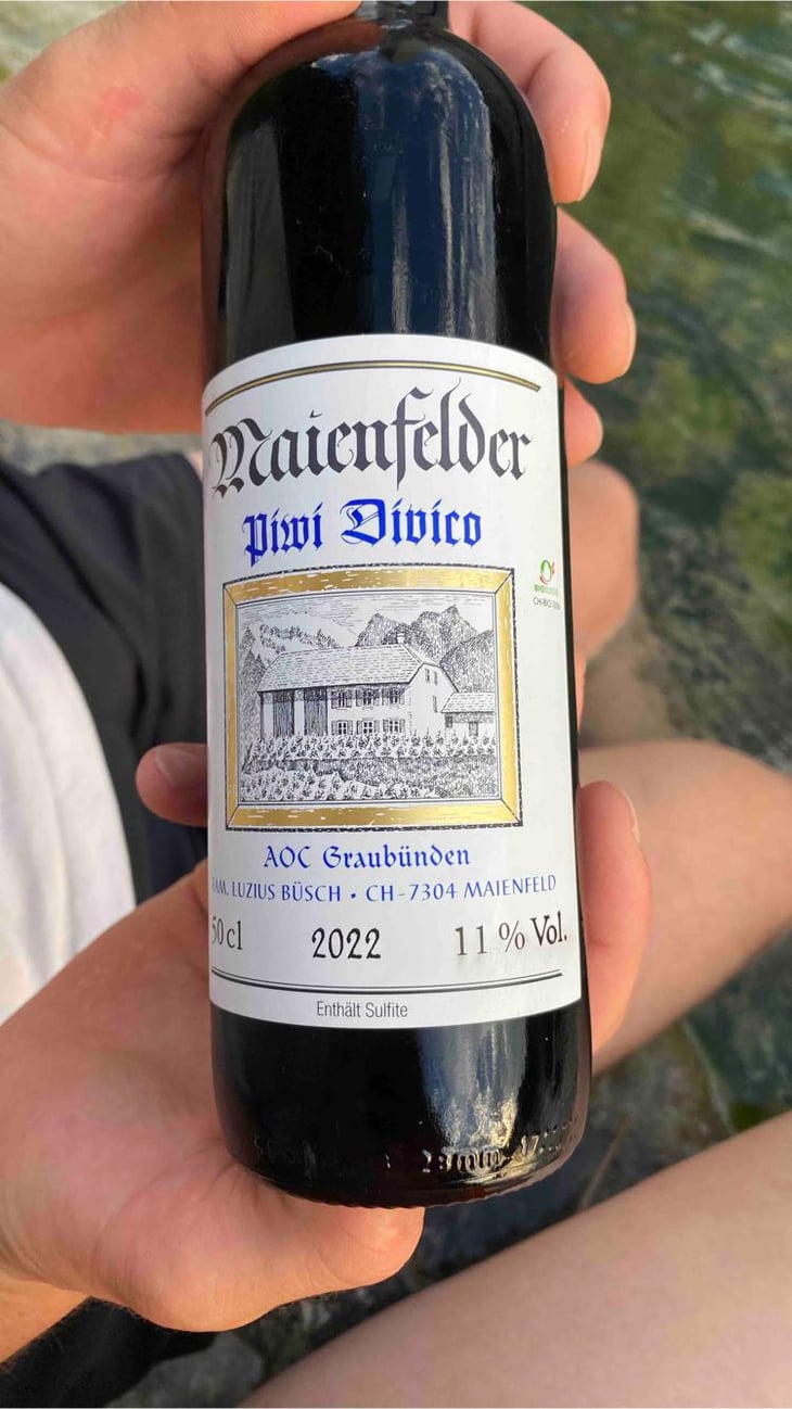 Piwi Divico - Büsch Luzius Weinbau - Büsch Luzius Weinbau -2022