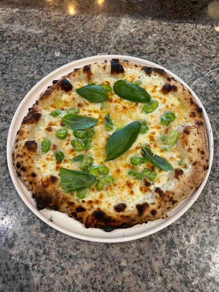 Pizza Au Parmesan Feves Et Basilic - Toulon pizza club - 615355