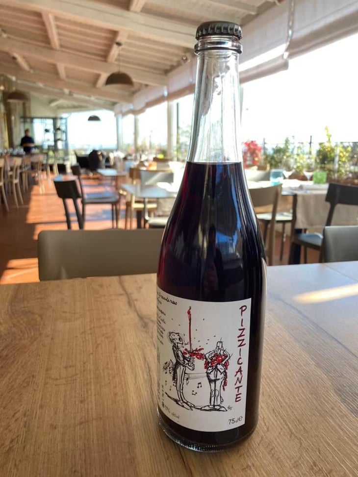 Pizzicante Rosso - Le Coste - Clémentine Bouveron & Gianmarco Antonuzi 