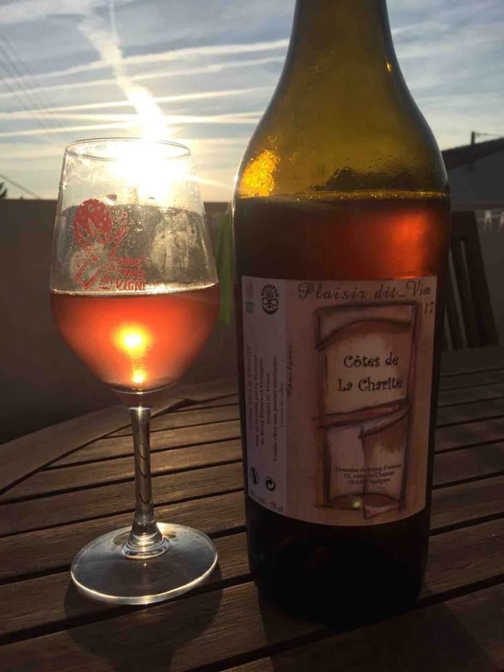 Plaisir Dit...vin - Domaine du Bourg d’Oiseau - Frédéric Benzergua 