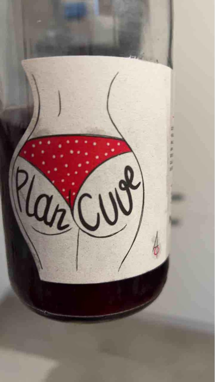 Plan Cuve - Chai Amandine & Quentin - Amandine Bureau & Quentin Javoy 