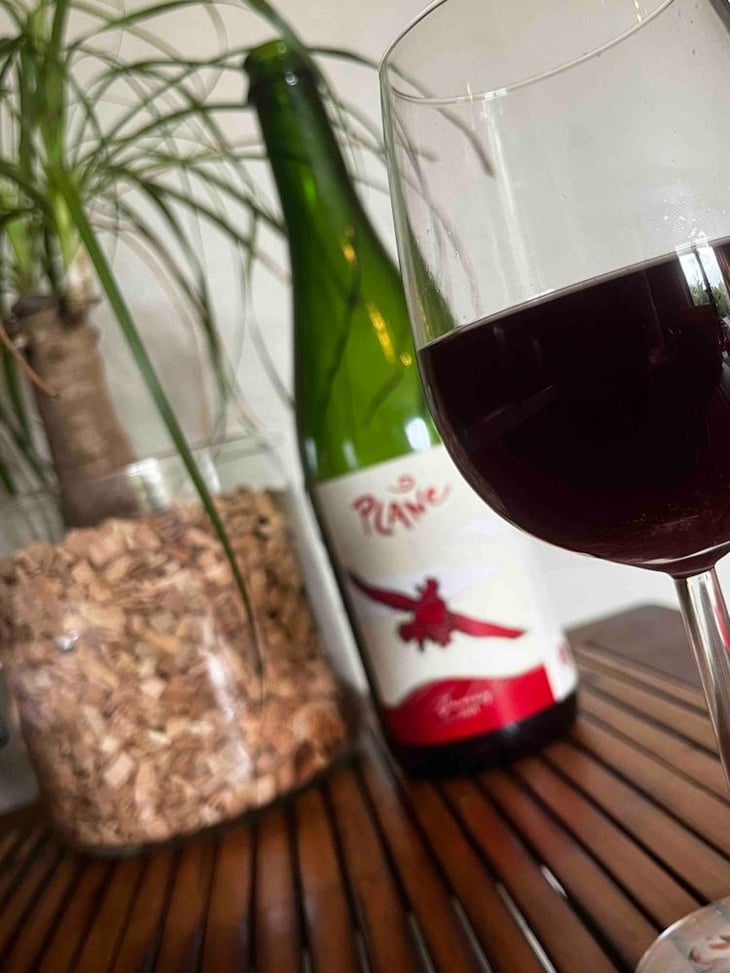 Plane - Domaine La Taupe - Nicole Messer & Bertjan Mol 