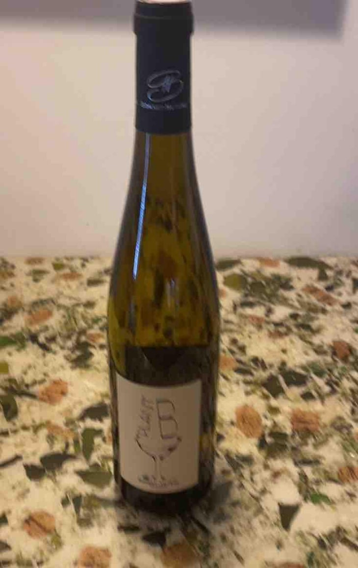 Plant B - Domaine Bonnet-Huteau - Jean-Jacques Bonnet & Vincent Pineau 
