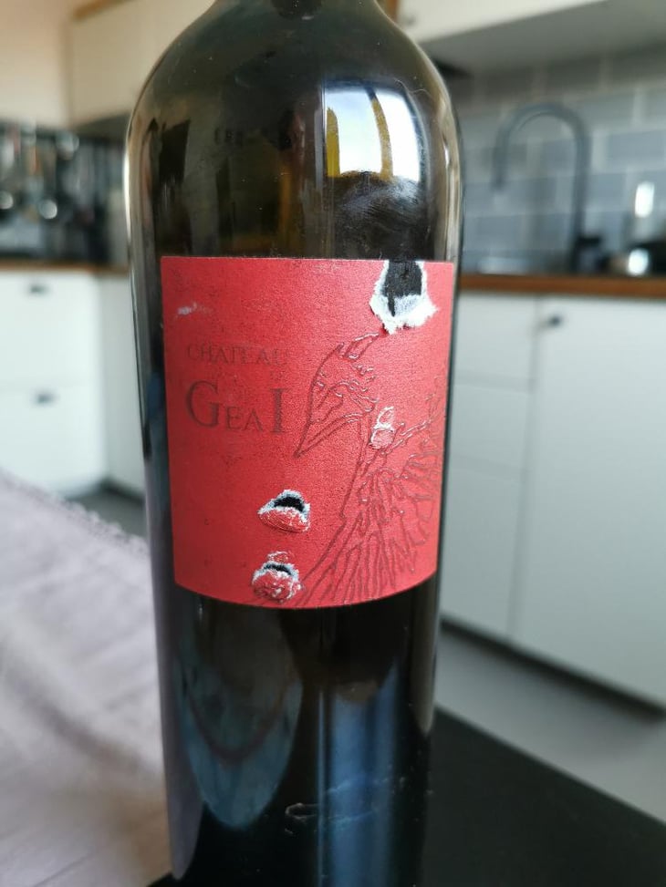 Plasma - Château Le Geai - Henri Duporge -2018