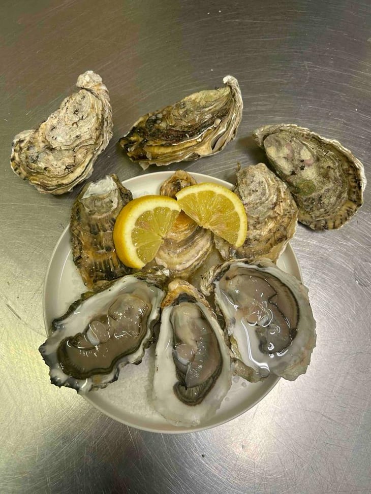 Plat D'Huîtres - Sckiribar - 805290