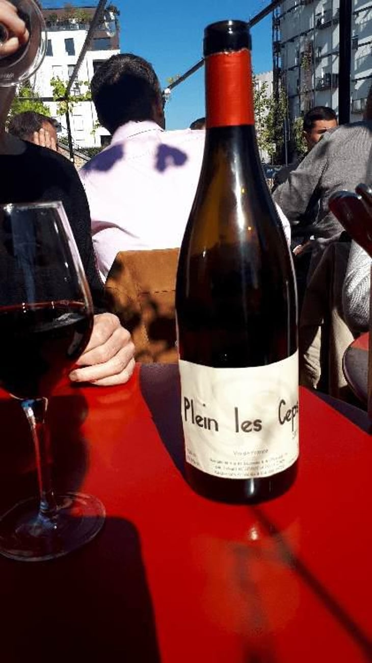 Plein les Ceps (label before 2016) - La Cave Apicole - Sylvain Respaut & Olivier Cros 