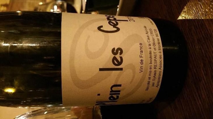 Plein les Ceps (label before 2016) - La Cave Apicole - Sylvain Respaut & Olivier Cros 
