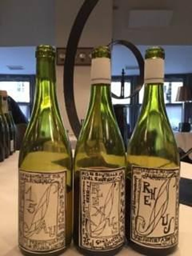 Plexus - Domaine Saurigny - Jérôme Saurigny 