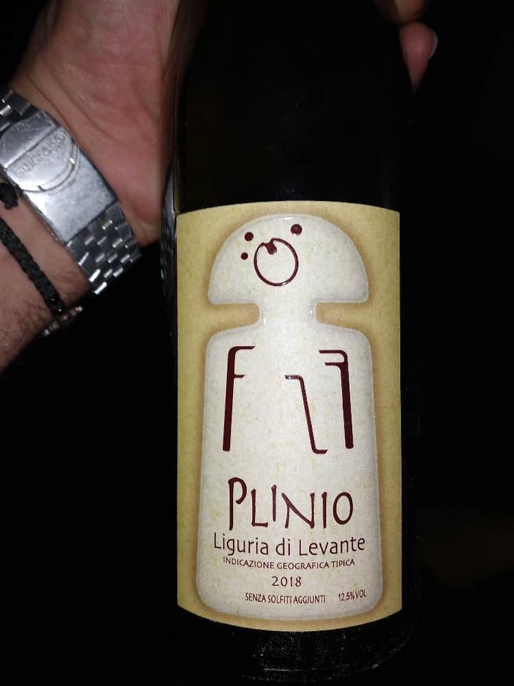 Plinio - Terra Della Luna - Alessandro Vignali 