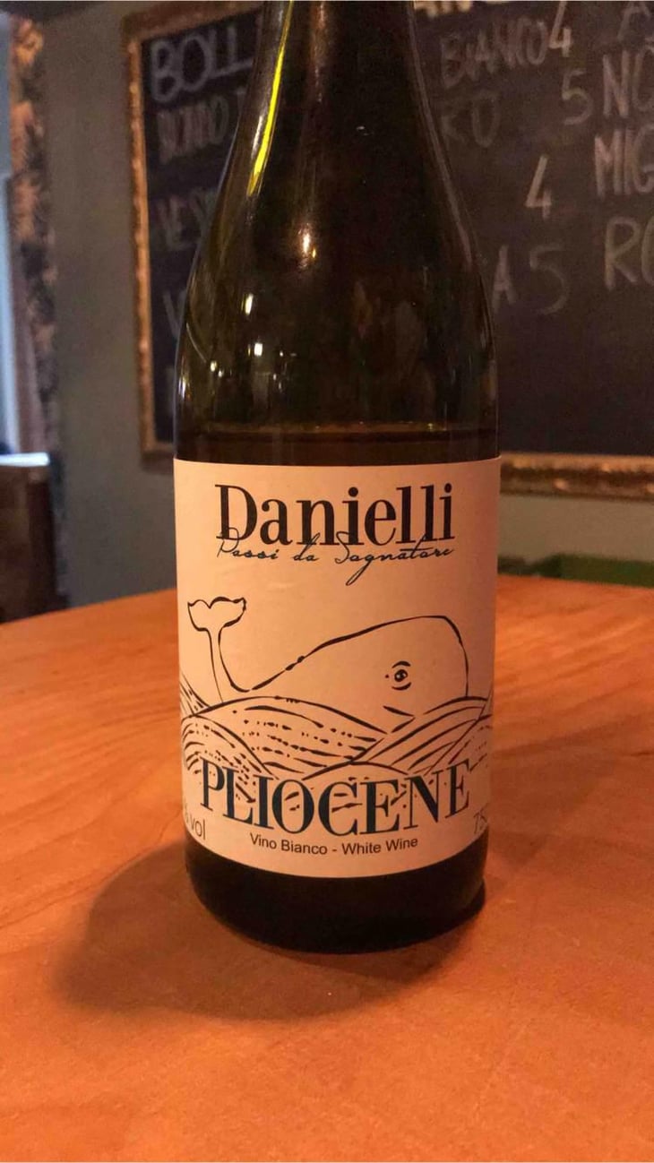 Pliocene - Riccardo Danielli - Riccardo Danielli 