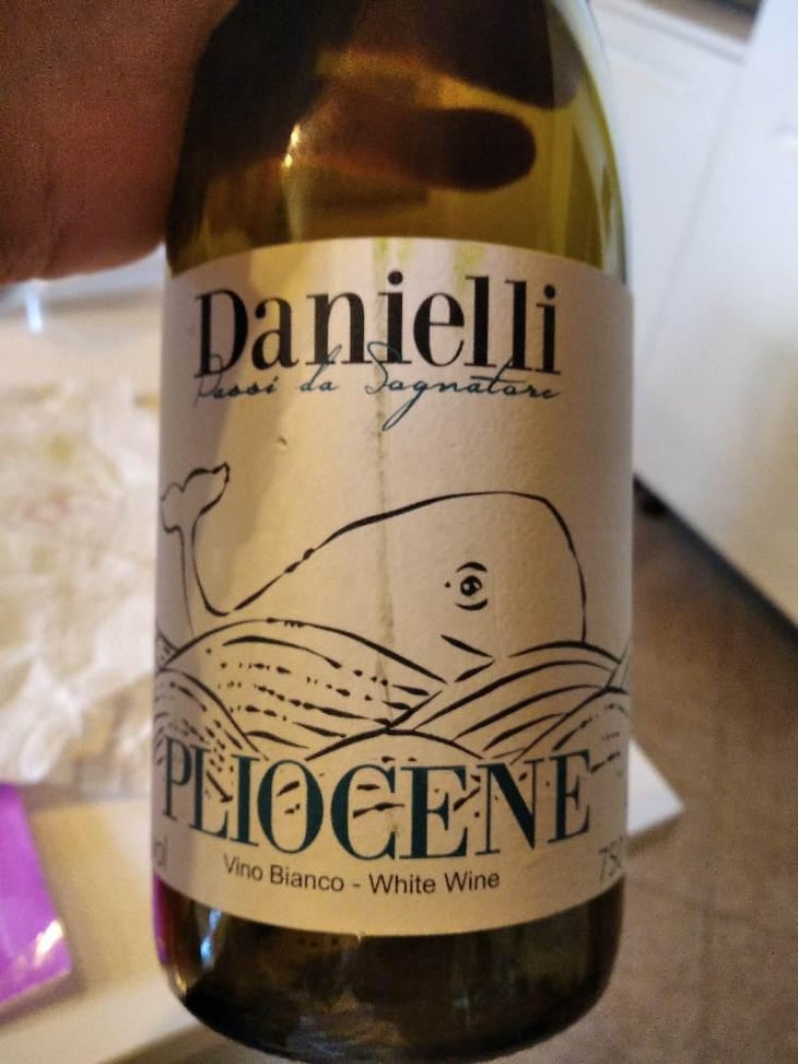Pliocene - Riccardo Danielli - Riccardo Danielli 