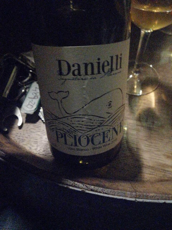 Pliocene - Riccardo Danielli - Riccardo Danielli 