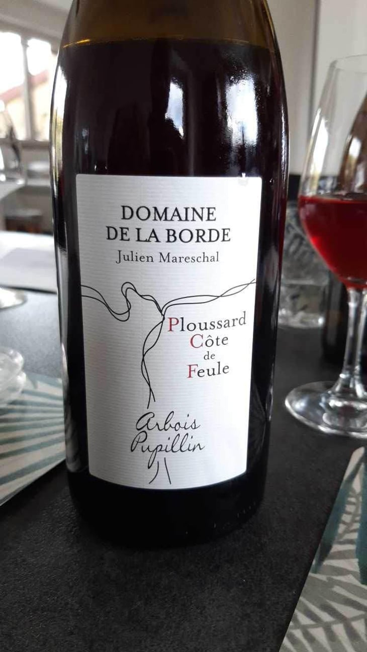 Plous'saperlipopette - Domaine de la Borde - Julien Mareschal 