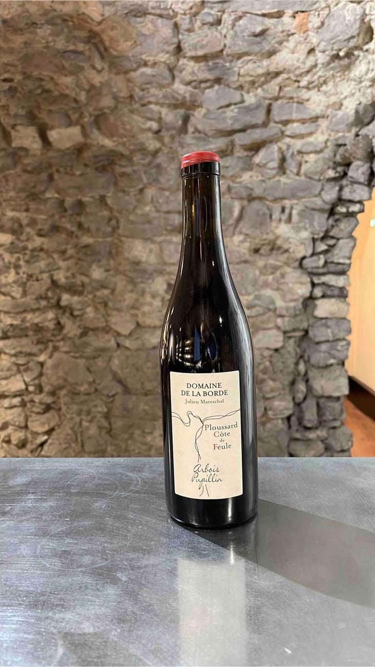 Ploussard Côte de Feule - Domaine de la Borde - Julien Mareschal 