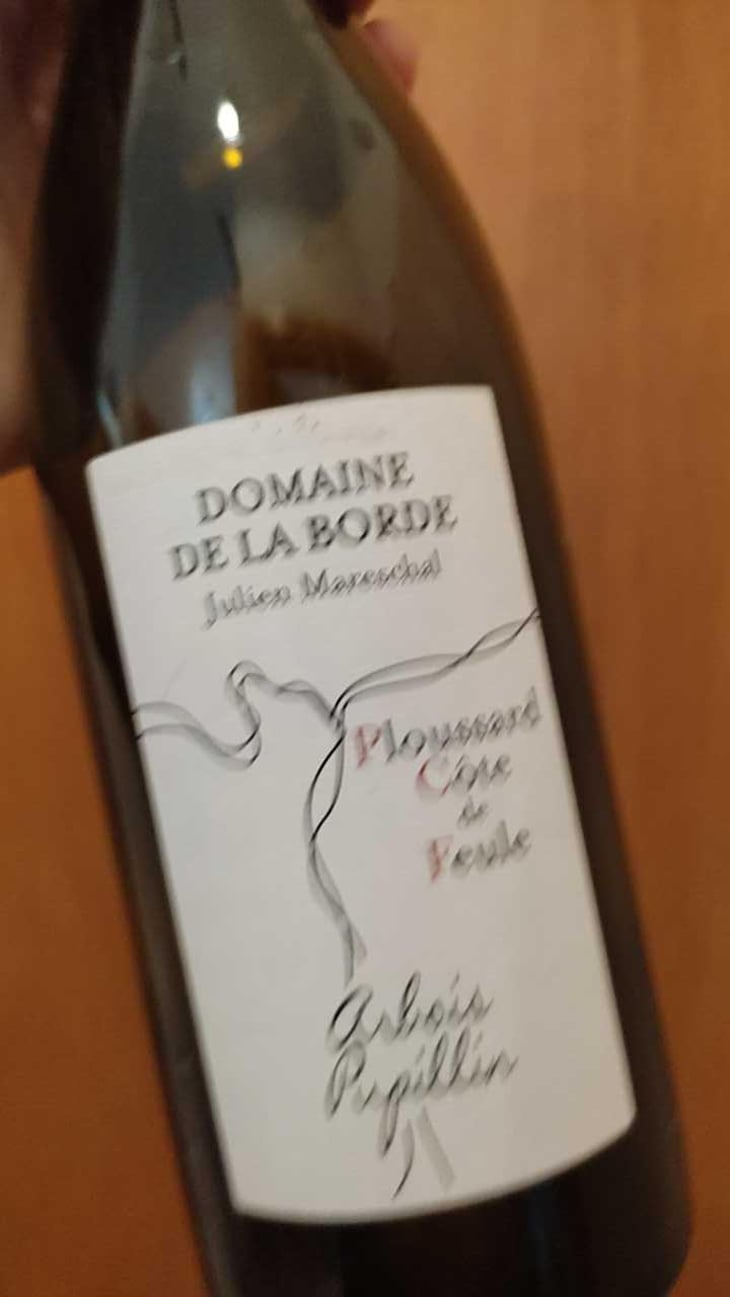 Ploussard Côte de Feule - Domaine de la Borde - Julien Mareschal 