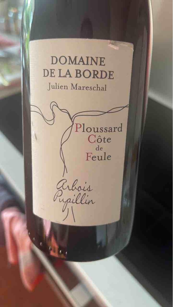 Ploussard Côte de Feule - Domaine de la Borde - Julien Mareschal 