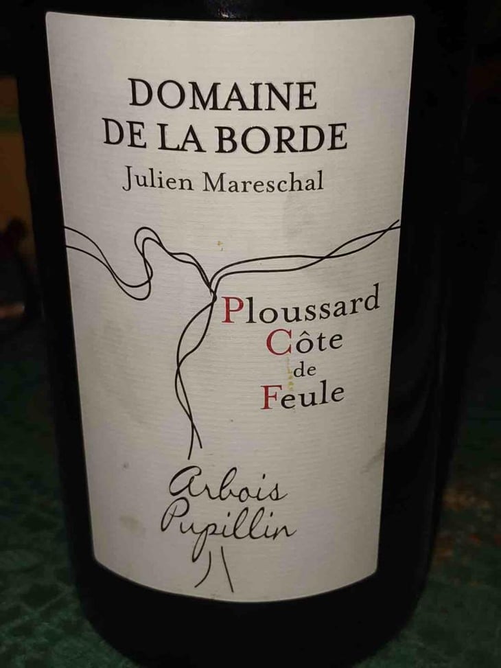 Ploussard Côte de Feule - Domaine de la Borde - Julien Mareschal 