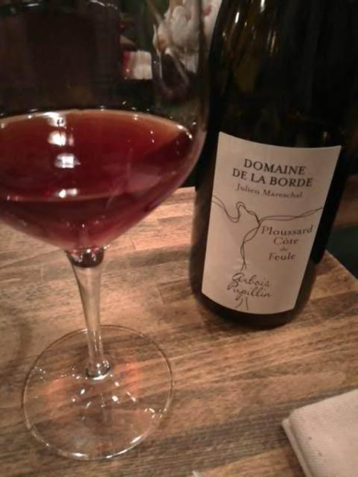 Ploussard Côte de Feule - Domaine de la Borde - Julien Mareschal 