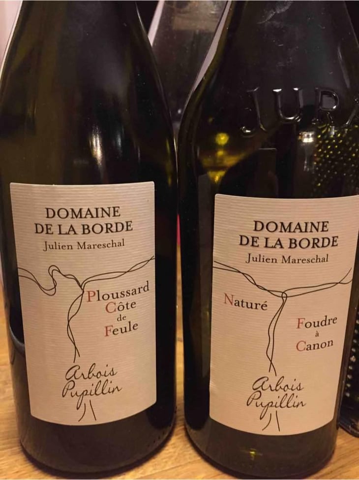 Ploussard Côte de Feule - Domaine de la Borde - Julien Mareschal 