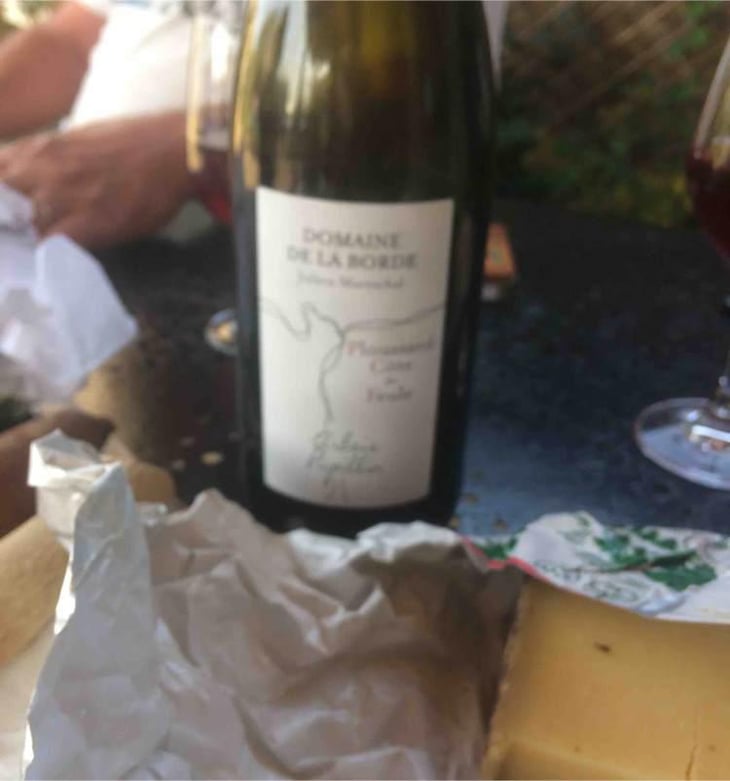 Ploussard Côte de Feule - Domaine de la Borde - Julien Mareschal 