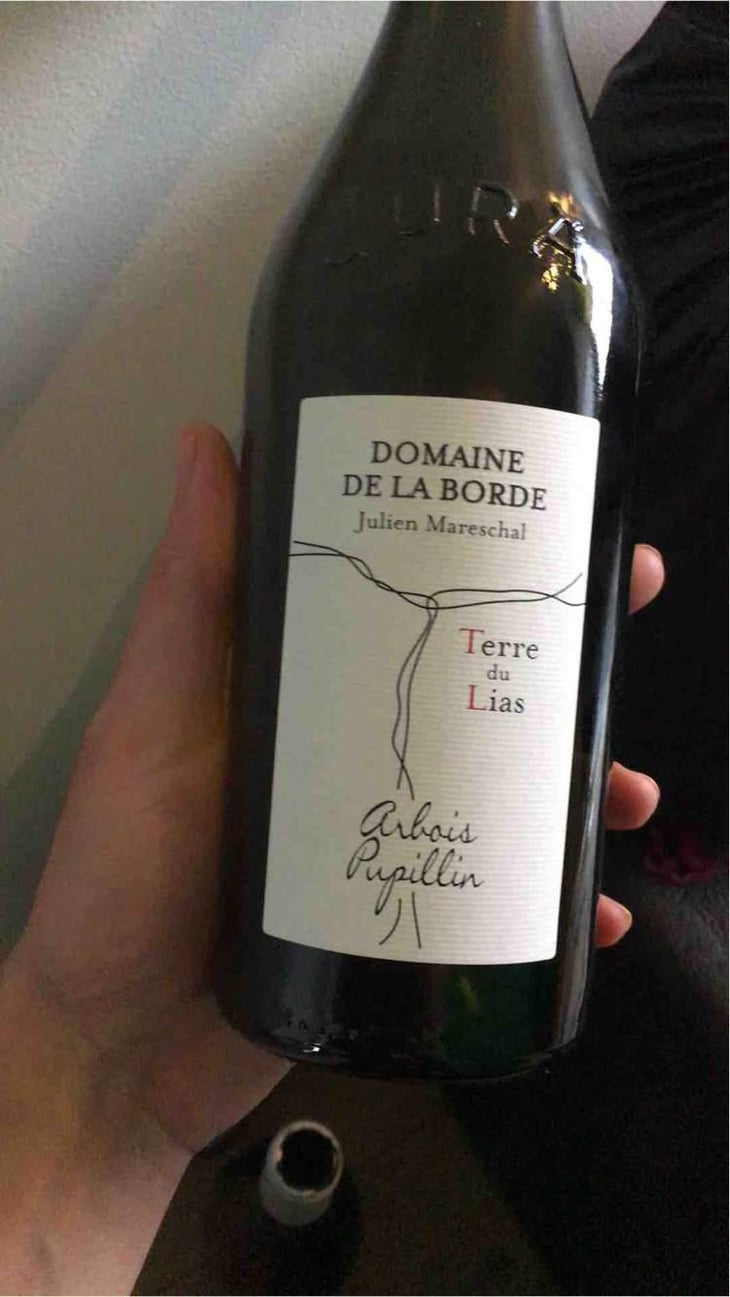 Ploussard Côte de Feule - Domaine de la Borde - Julien Mareschal 