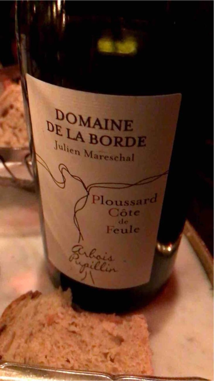 Ploussard Côte de Feule - Domaine de la Borde - Julien Mareschal 