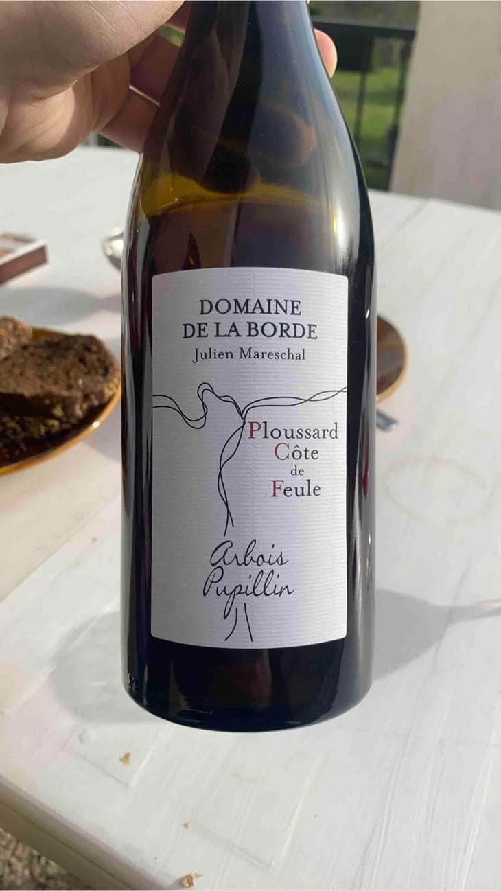 Ploussard Côte de Feule - Domaine de la Borde - Julien Mareschal 