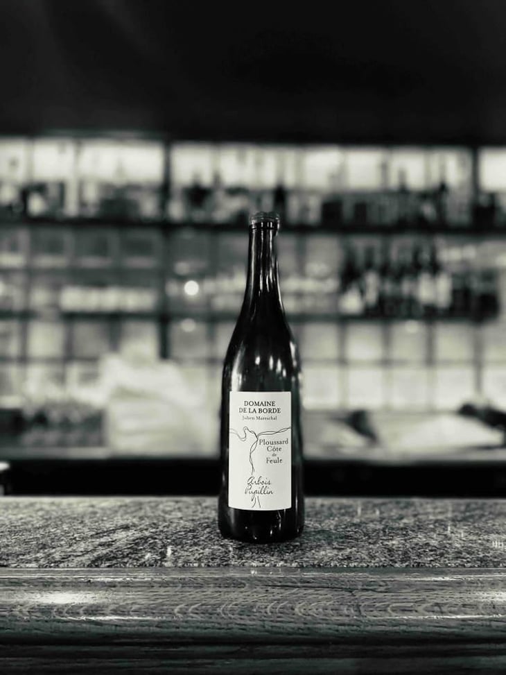 Ploussard Côte de Feule - Domaine de la Borde - Julien Mareschal 