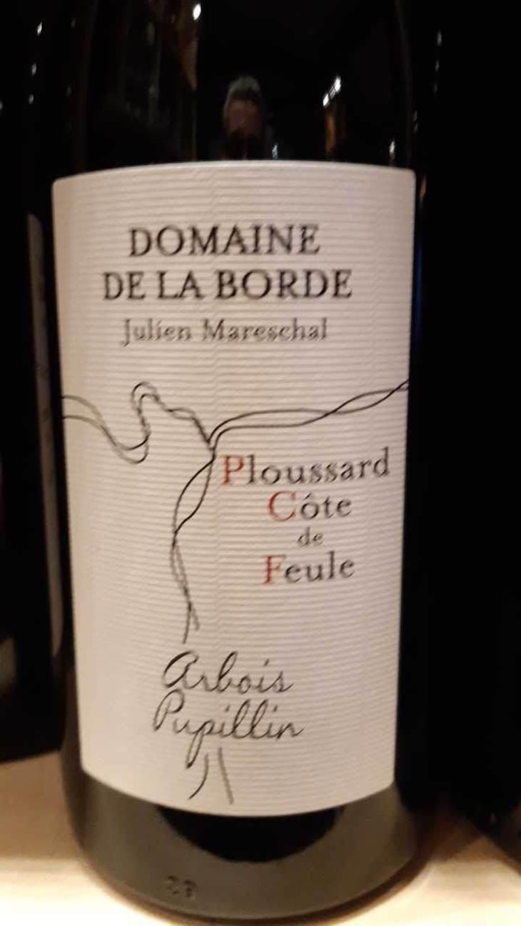 Ploussard Côte de Feule - Domaine de la Borde - Julien Mareschal 
