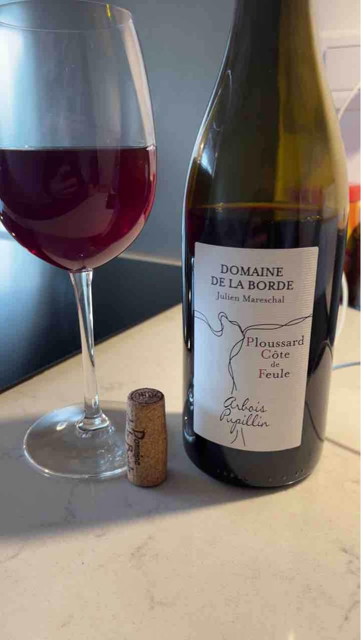 Ploussard Côte de Feule - Domaine de la Borde - Julien Mareschal 