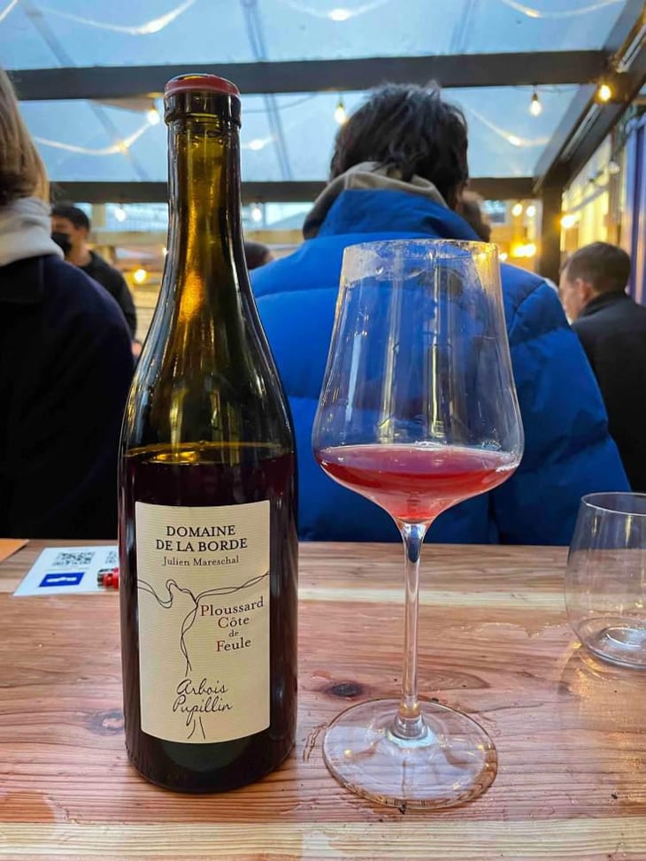 Ploussard Côte de Feule - Domaine de la Borde - Julien Mareschal 