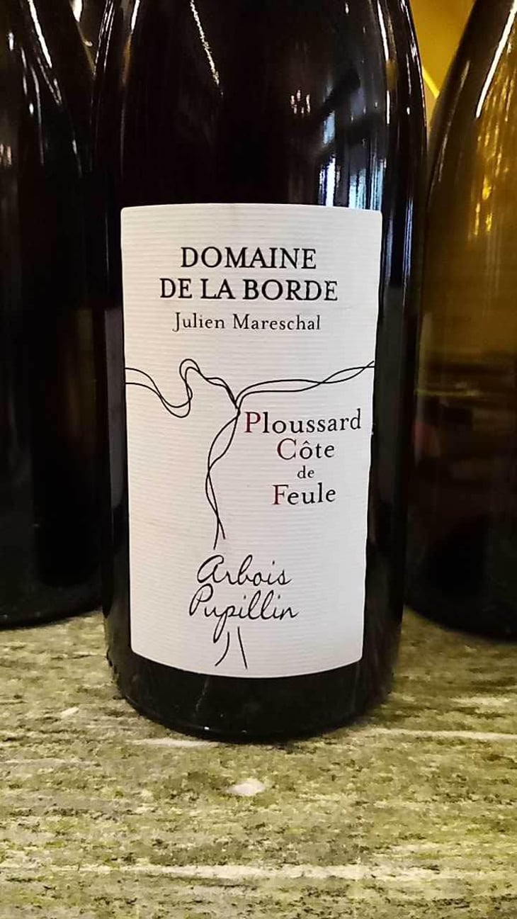 Ploussard Côte de Feule - Domaine de la Borde - Julien Mareschal 