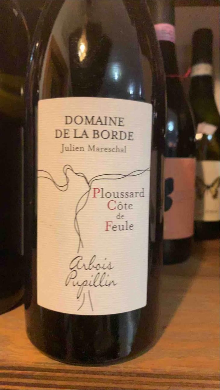 Ploussard Côte de Feule - Domaine de la Borde - Julien Mareschal 