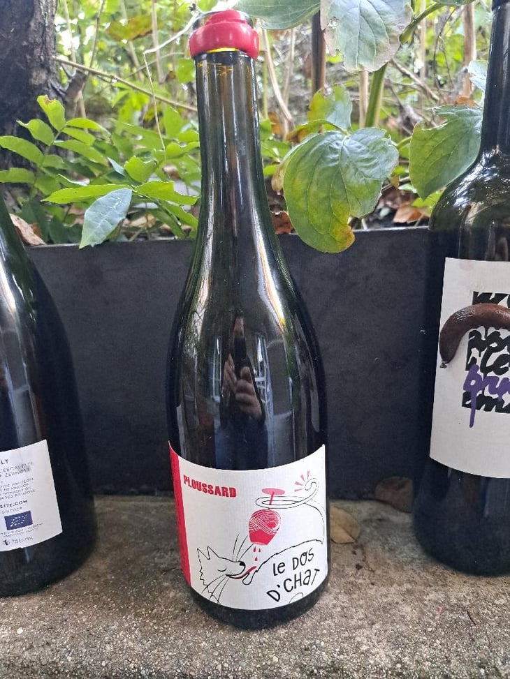 Ploussard - Domaine de Saint Pierre - Fabrice Dodane 