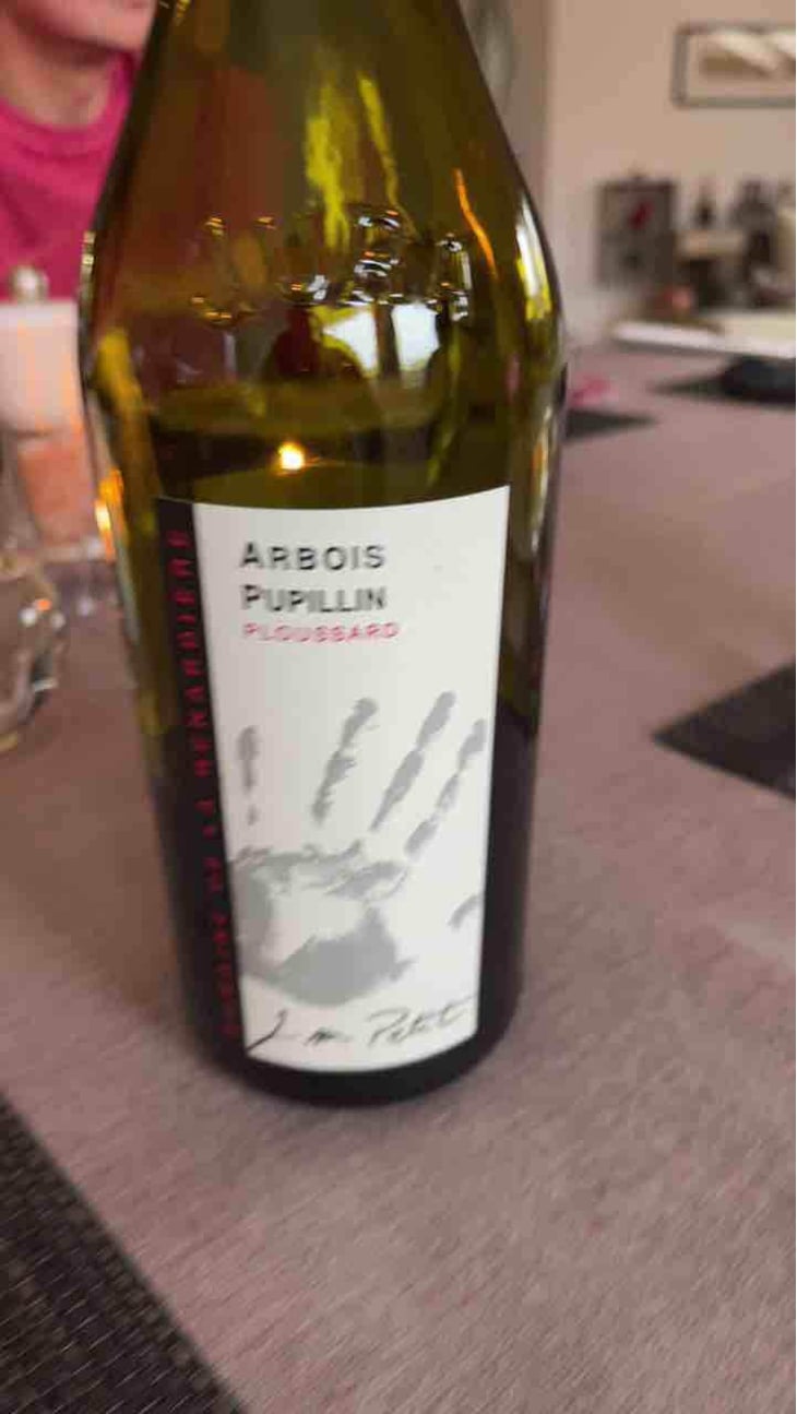 Ploussard - Domaine de la Renardière - Jean-Michel, Laurence et Leo Petit 