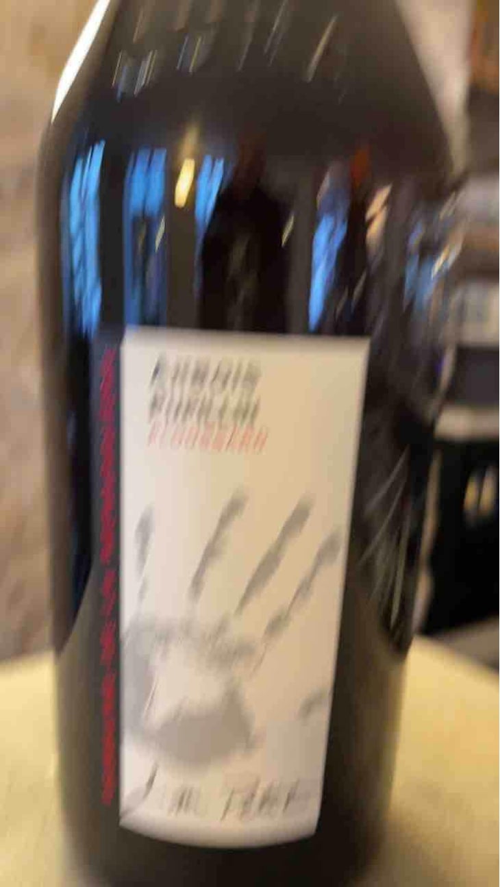 Ploussard - Domaine de la Renardière - Jean-Michel, Laurence et Leo Petit 