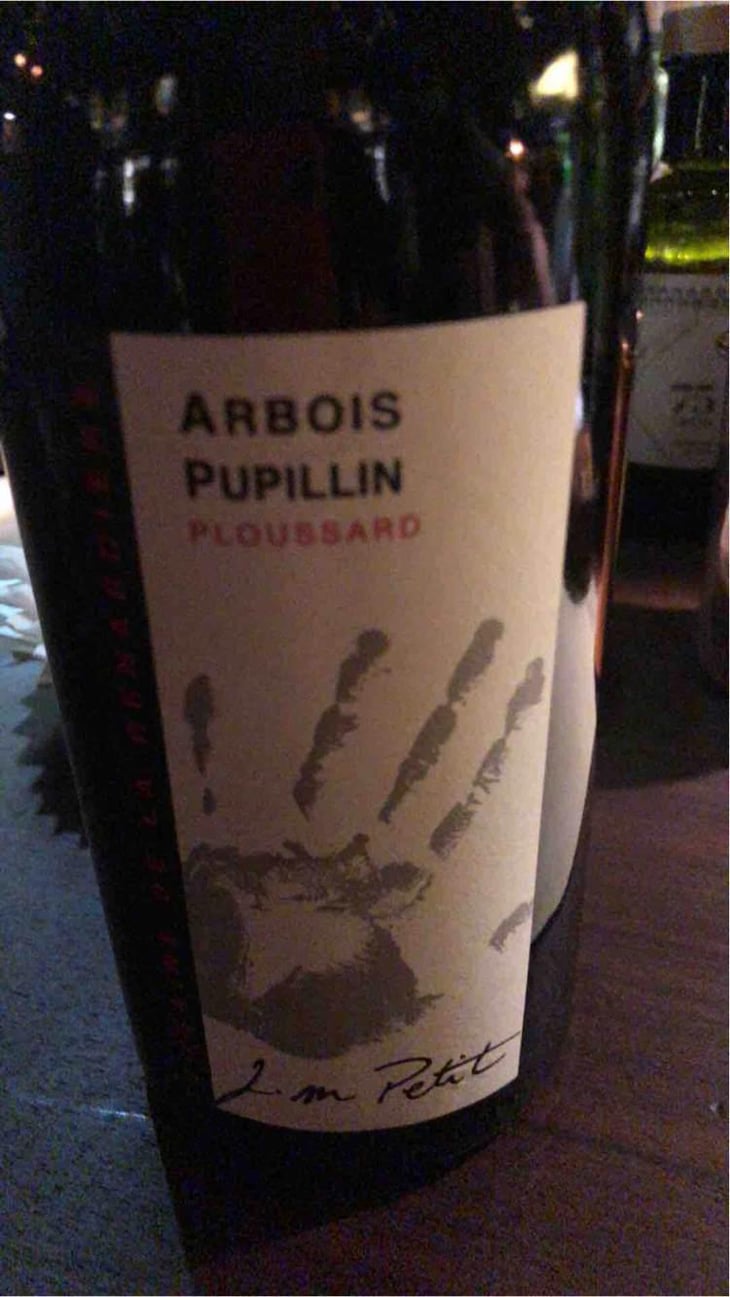 Ploussard - Domaine de la Renardière - Jean-Michel, Laurence et Leo Petit 