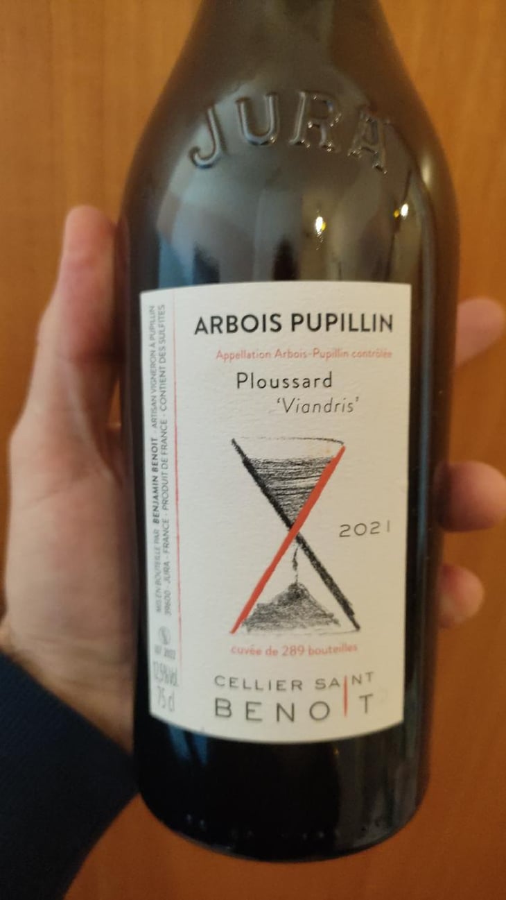 Ploussard "Viandris" - Cellier Saint Benoit - Benjamin Benoit -2020